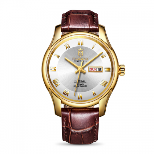 R0131 Men's Automatic Wristwatch